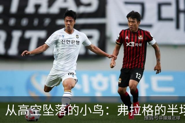 从高空坠落的小鸟：弗拉格的半场奇遇记